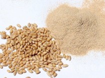 麦麸皮的功效与作用营养成分,小麦麸皮的最简单吃法