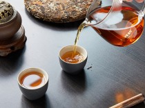 老白茶功效与作用禁忌,老白茶的药用价值和功效